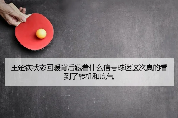 王楚钦状态回暖背后藏着什么信号球迷这次真的看到了转机和底气
